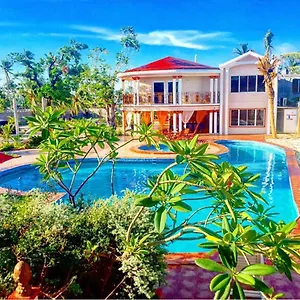 Mimosa Haiti
